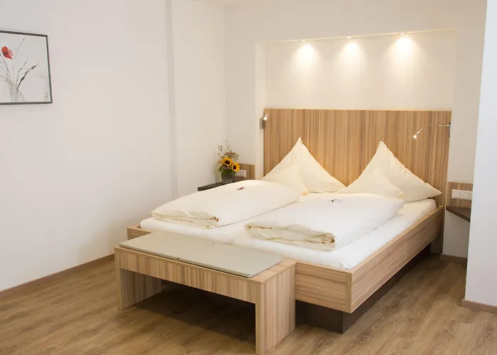 ドイツ ハウス ホテル 4*